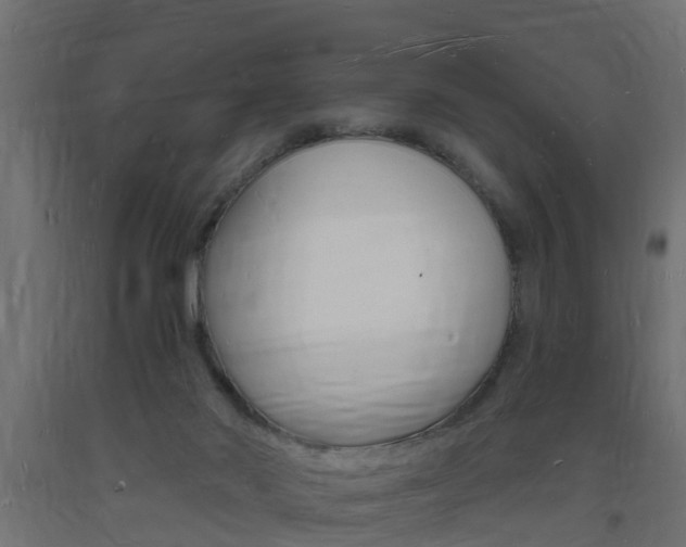 X0000093720022200710160801