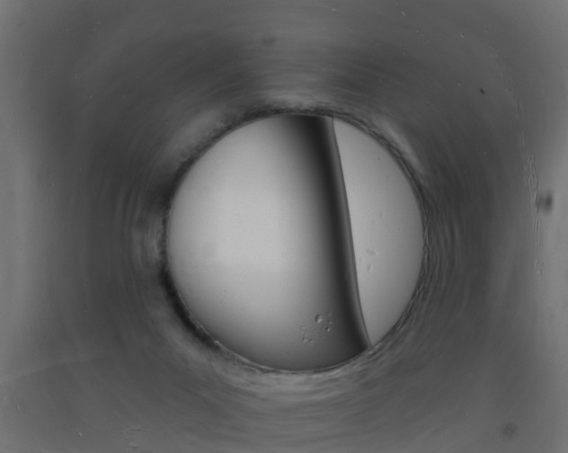 X0000093720023200710160801