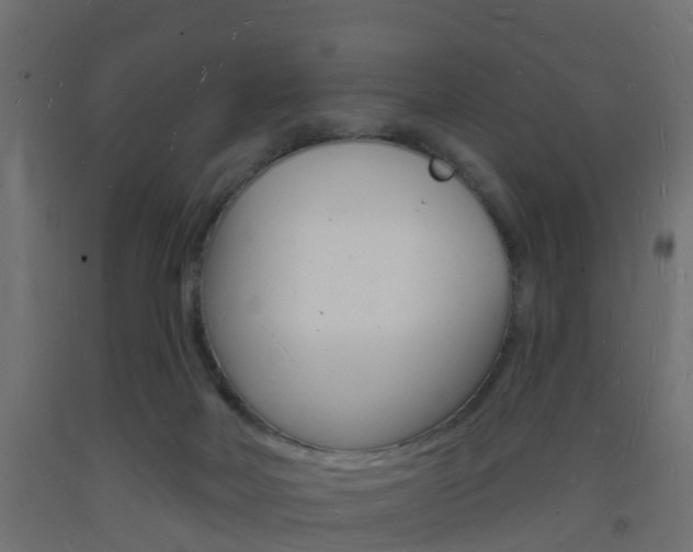 X0000093720026200710160801