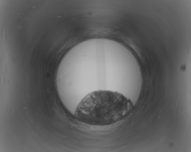 X0000093720027200710160801