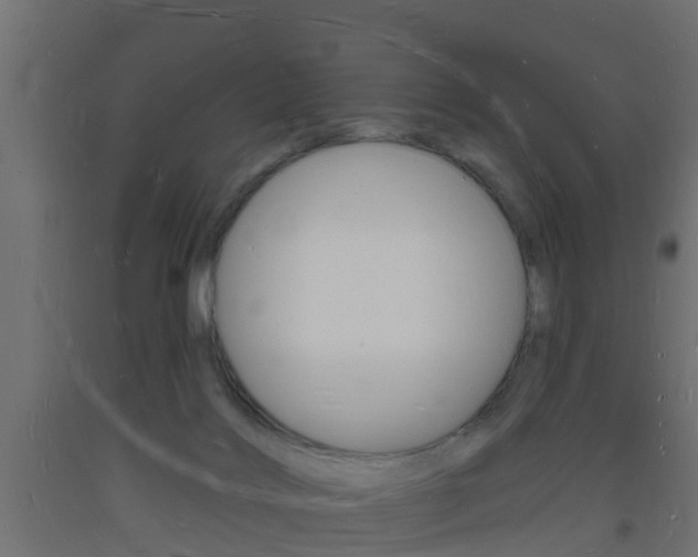 X0000093720028200710160801
