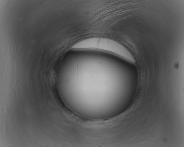 X0000093720029200710160801