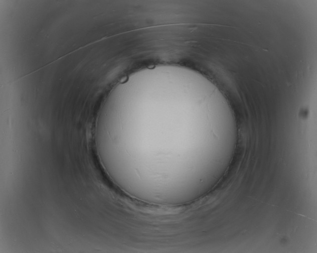 X0000093720032200710160801
