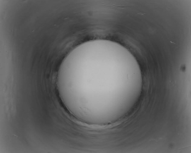 X0000093720034200710160801