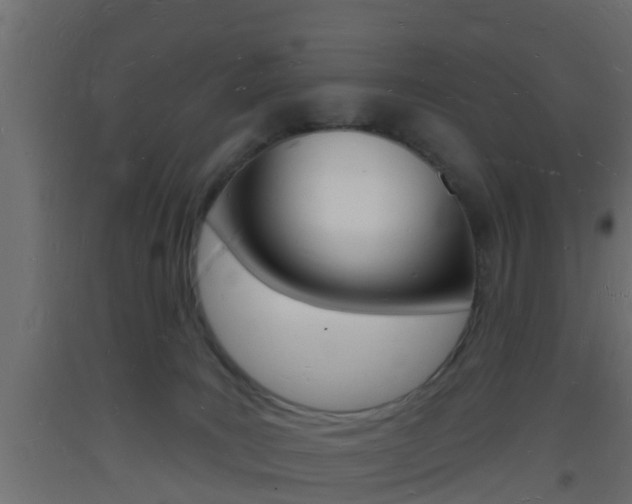 X0000093720035200710160801