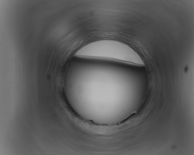 X0000093720044200710160801