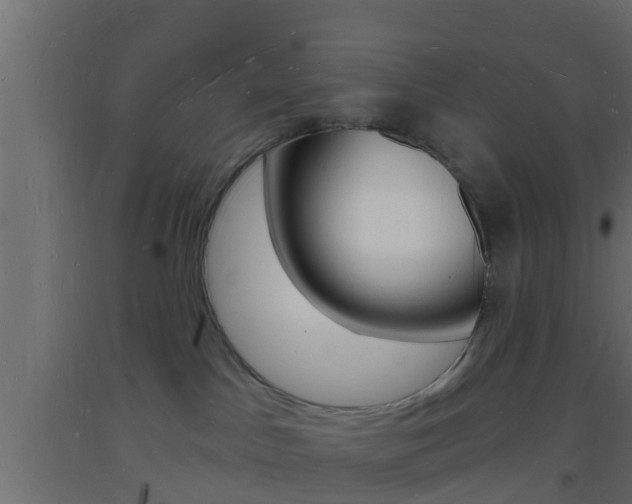 X0000093720045200710160801