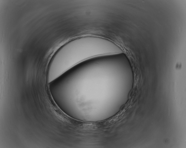 X0000093720050200710160800