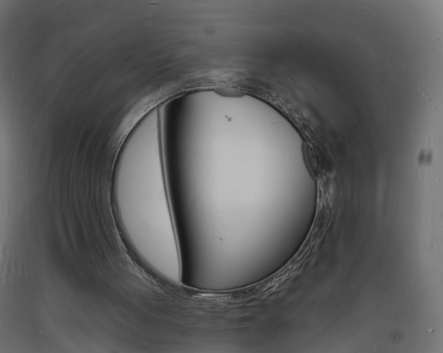 X0000093720051200710160800