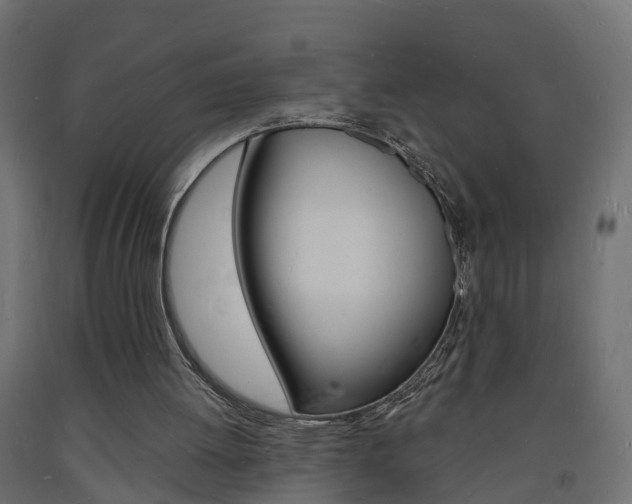 X0000093720052200710160800