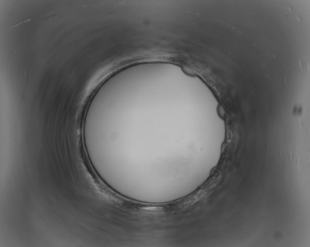 X0000093720053200710160800