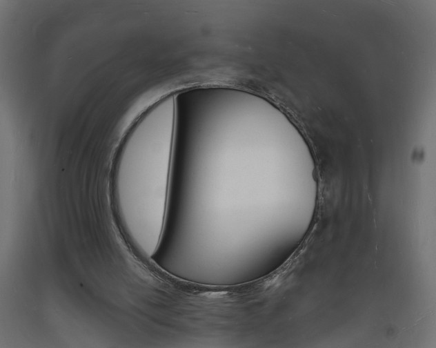 X0000093720054200710160800