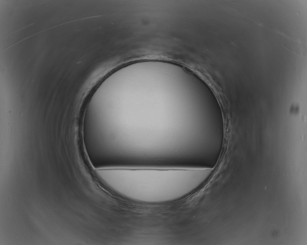 X0000093720055200710160800