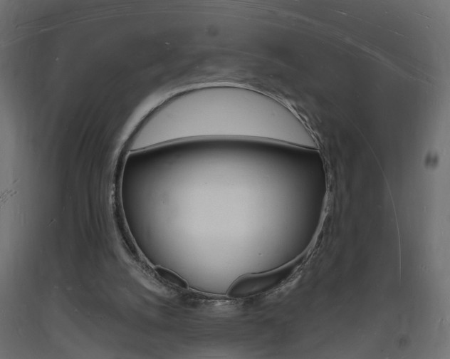 X0000093720056200710160800