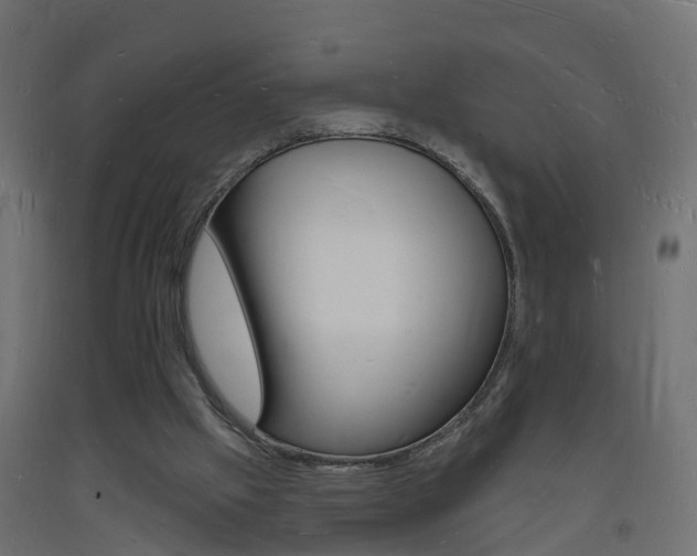 X0000093720057200710160800
