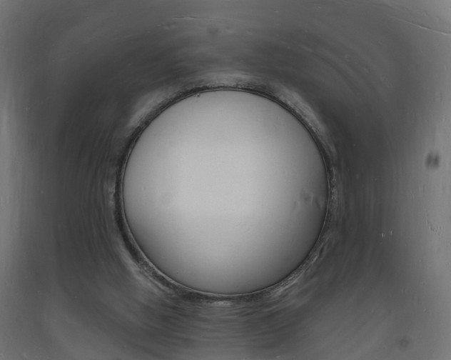 X0000093720058200710160800