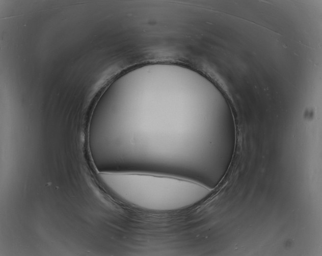 X0000093720059200710160800