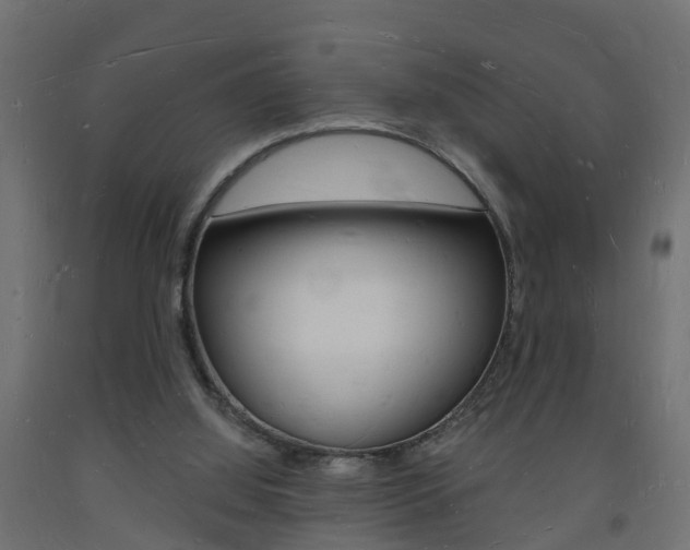 X0000093720060200710160800