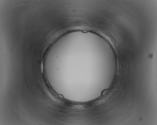 X0000093720061200710160800
