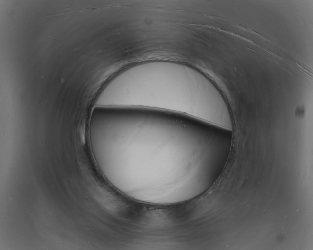X0000093720062200710160800