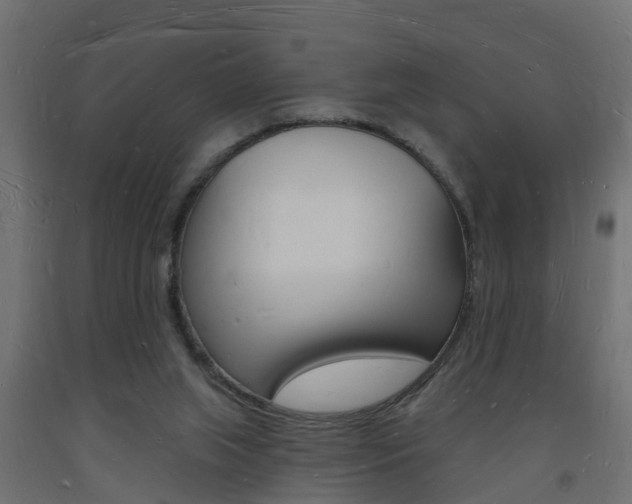 X0000093720063200710160800