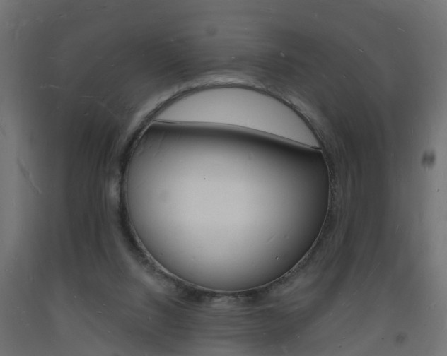 X0000093720064200710160800