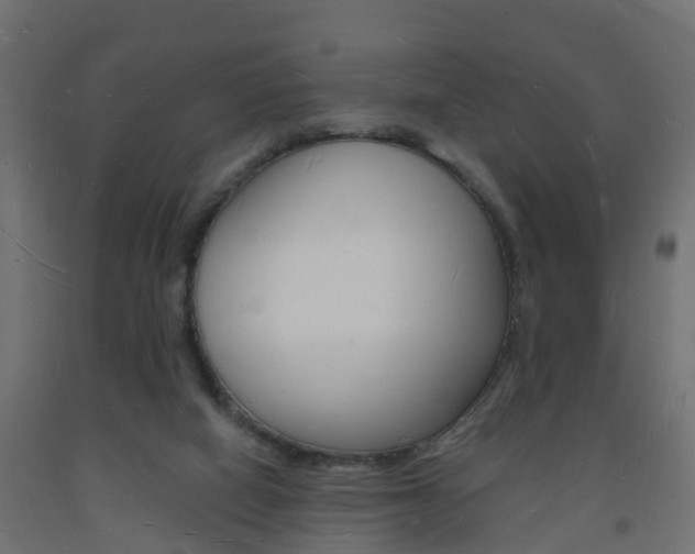 X0000093720066200710160800