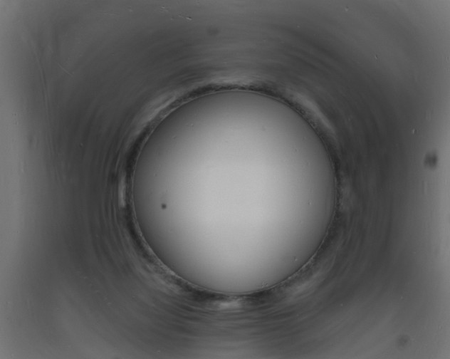 X0000093720068200710160800