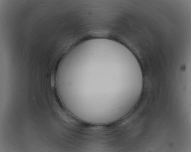 X0000093720069200710160800