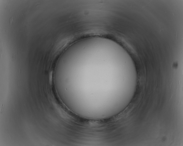 X0000093720070200710160800
