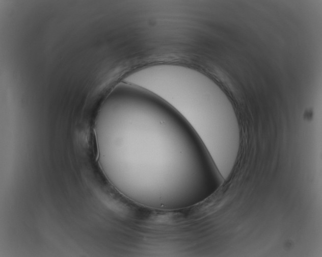 X0000093720072200710160800