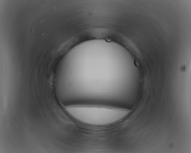 X0000093720073200710160800