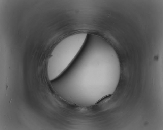 X0000093720074200710160800