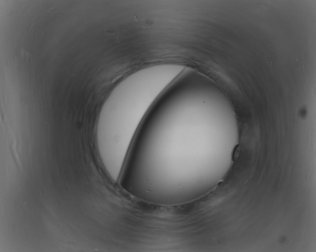 X0000093720076200710160800