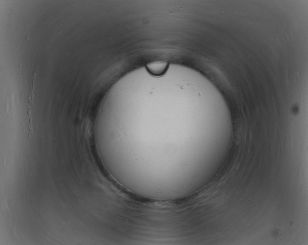 X0000093720077200710160800