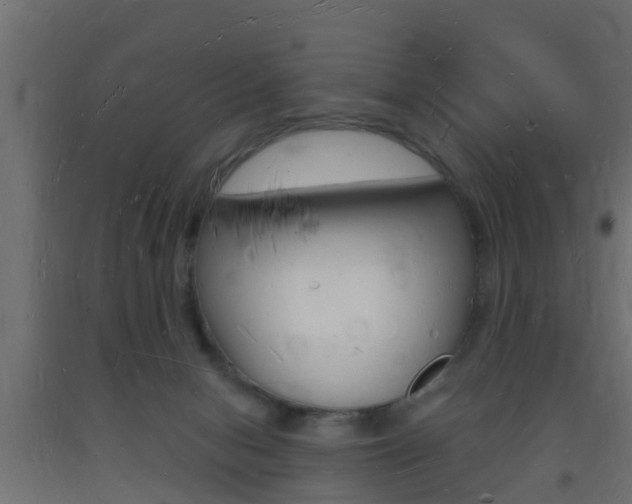 X0000093720078200710160800