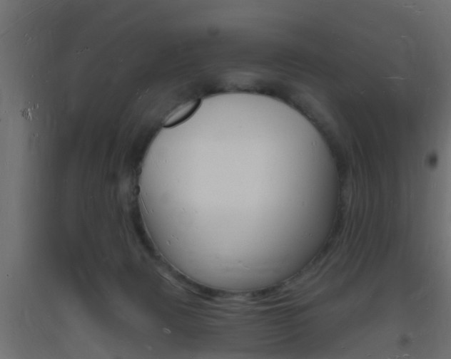 X0000093720079200710160800