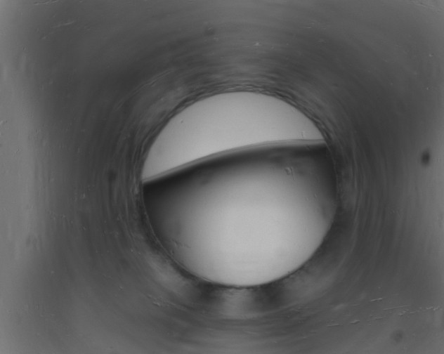 X0000093720085200710160800