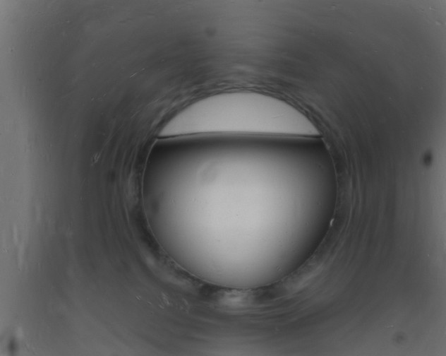 X0000093720088200710160800