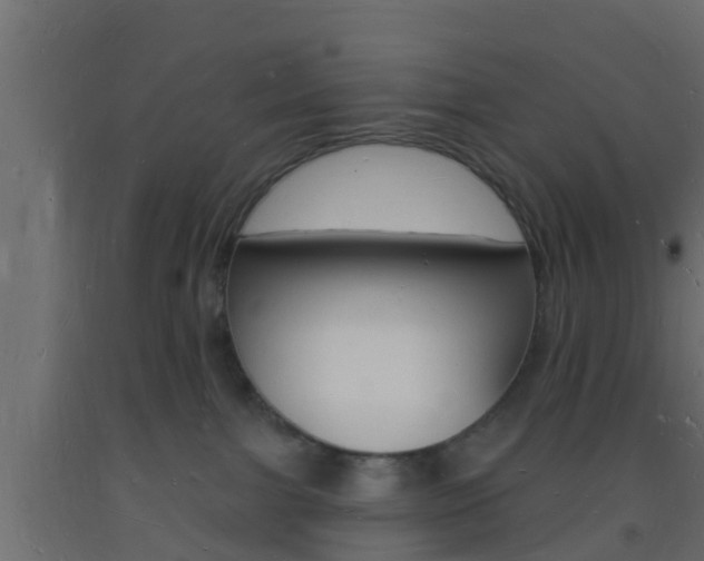 X0000093720091200710160800