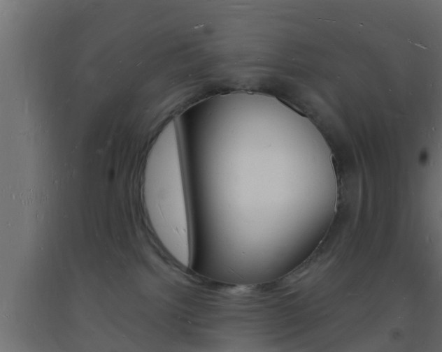 X0000093720092200710160800