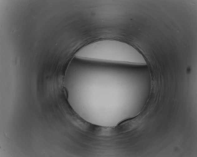 X0000093720093200710160800