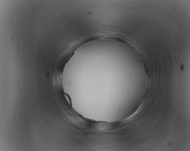 X0000093720094200710160801