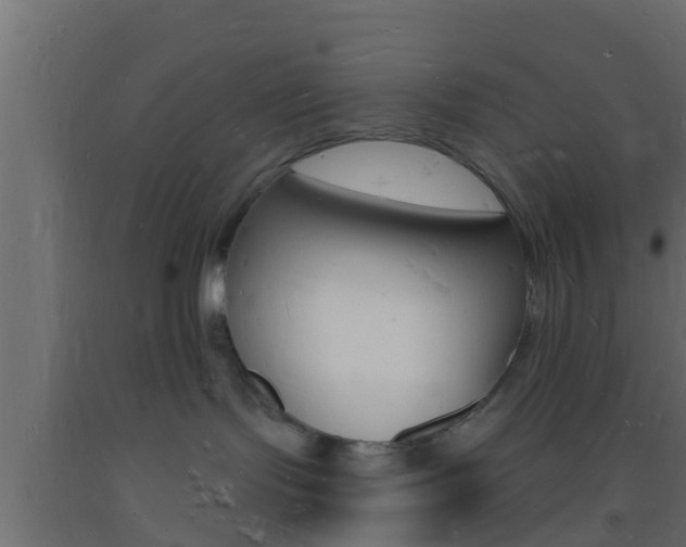 X0000093720095200710160801