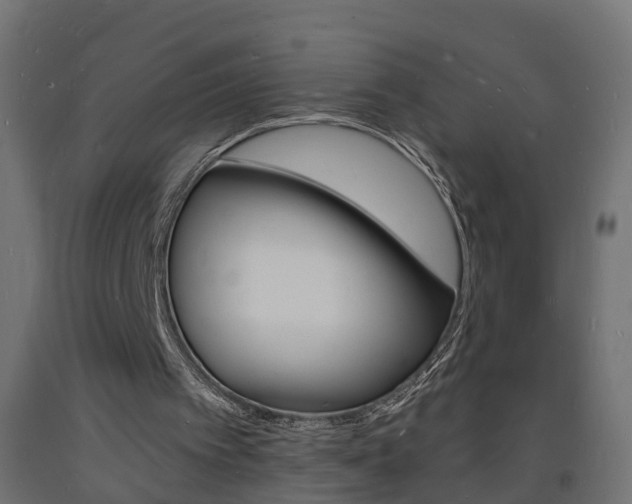 X0000093720097200710160800