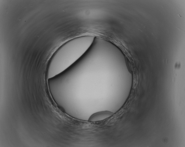 X0000093720098200710160800