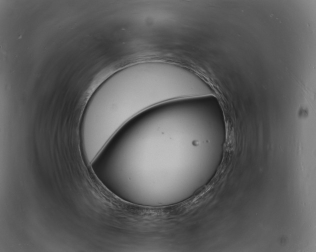 X0000093720099200710160800