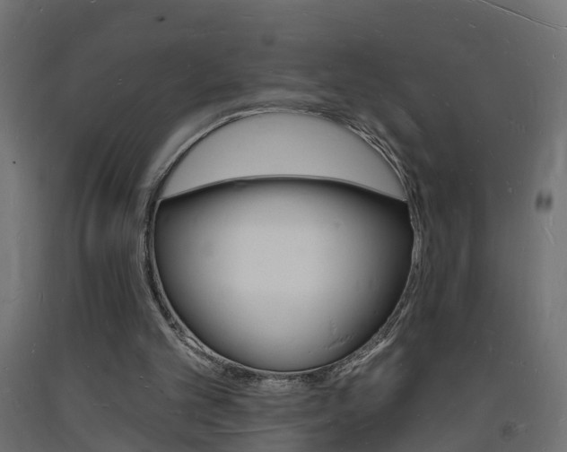 X0000093720101200710160800