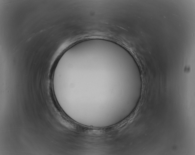 X0000093720102200710160800