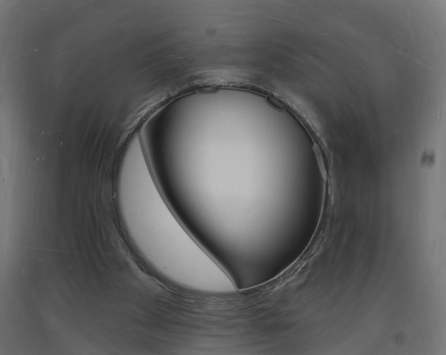 X0000093720105200710160800